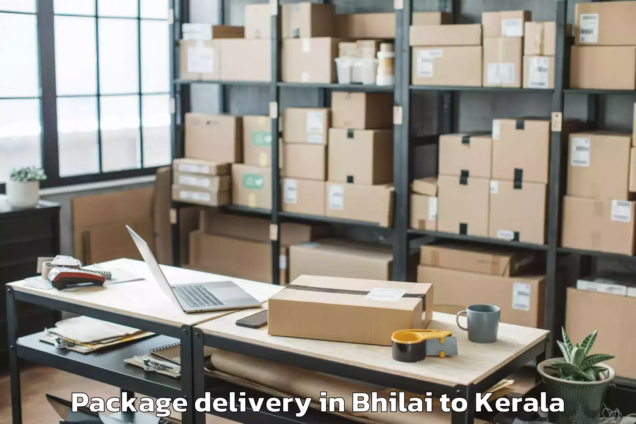 Reliable Bhilai to Guruvayoor Package Delivery